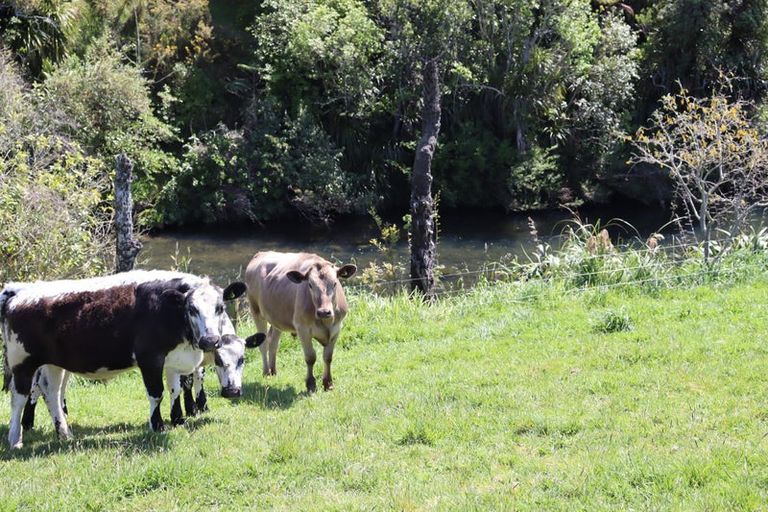 Photo of property in 274 Richmond Road, Lepperton, New Plymouth, 4373