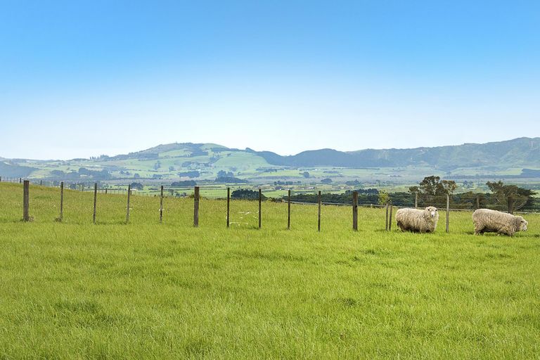 Photo of property in 1347 Waiuku Road, Waiuku, 2681