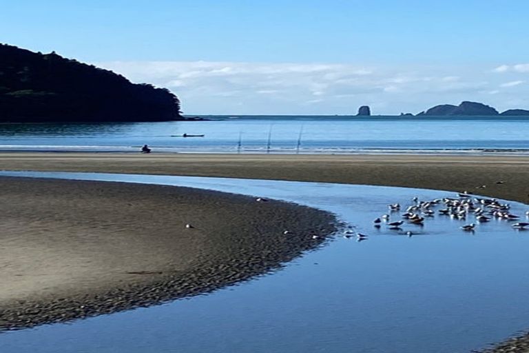 Photo of property in 27/1 Centennial Drive, Whitianga, 3510