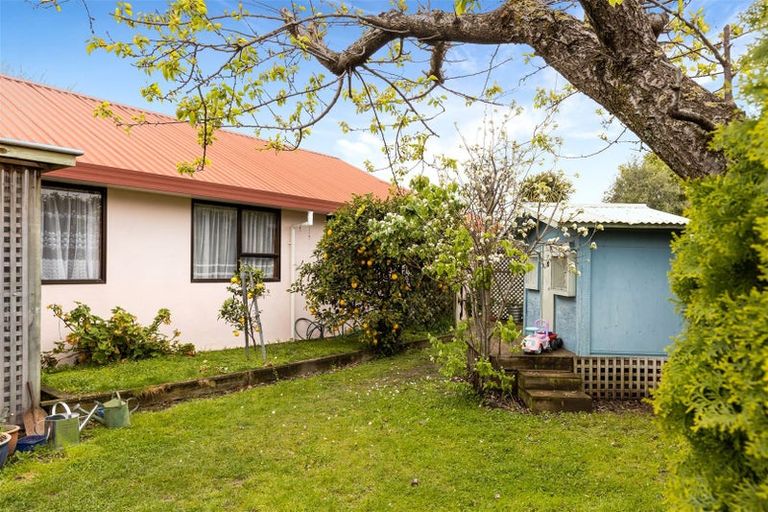 Photo of property in 21 Rata Place, Witherlea, Blenheim, 7201