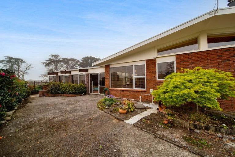 Photo of property in 37a Trafalgar Street, Westown, New Plymouth, 4310