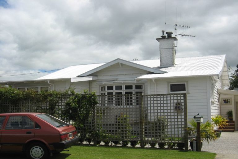 Photo of property in 390 Young Street, Te Awamutu, 3800