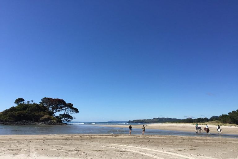 Photo of property in 762 Ohui Road, Opoutere, Whangamata, 3691