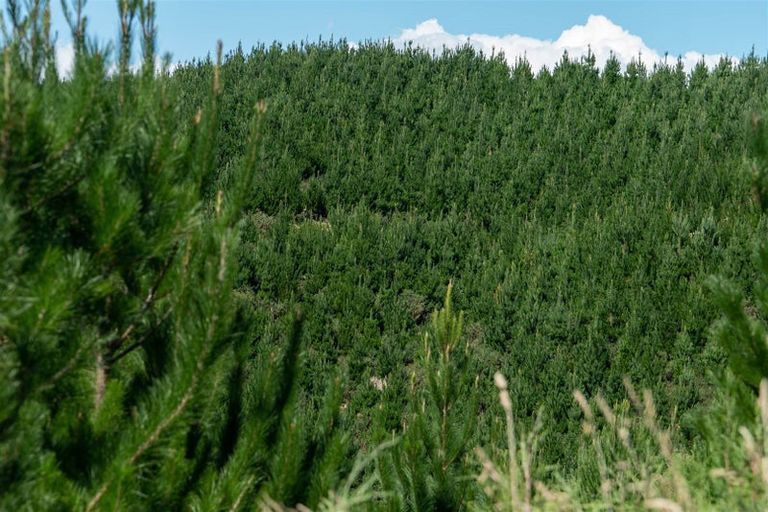 Photo of property in 77 Redwood Park Road, Redwood Valley, Richmond, 7081