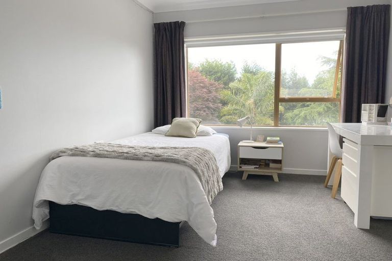 Photo of property in 23 Anderson Lane, Whakamarama, Tauranga, 3172