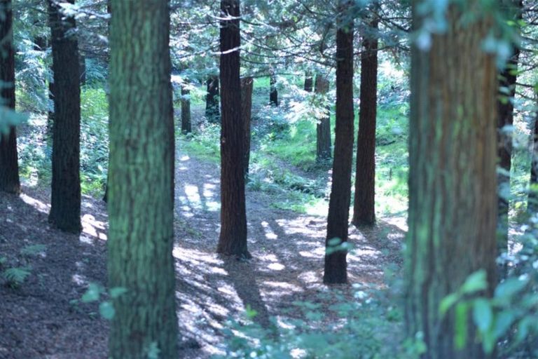 Photo of property in 5 Sarona Park Drive, Omanawa, Tauranga, 3171