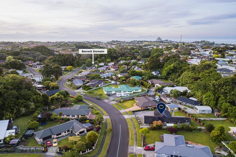 Photo of property in 41 Roto Street, Hurdon, New Plymouth, 4310