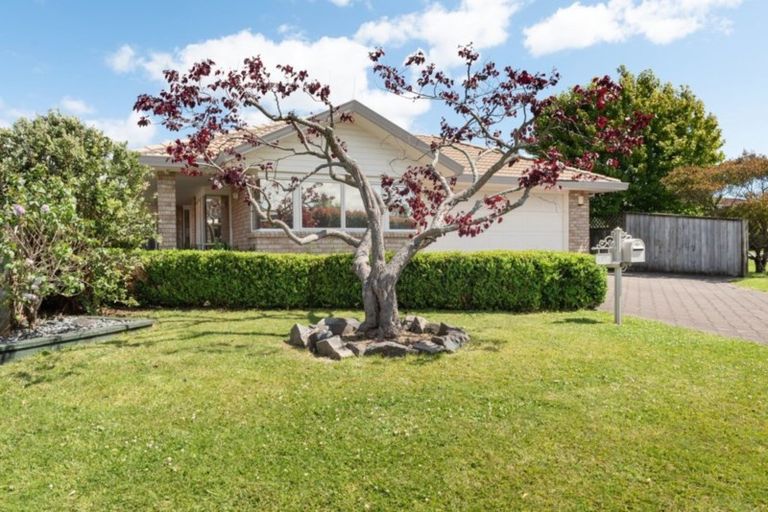 Photo of property in 17 Lilac Place, Otumoetai, Tauranga, 3110