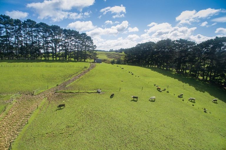 Photo of property in 82 Ross Lane, Kumeu, 0891