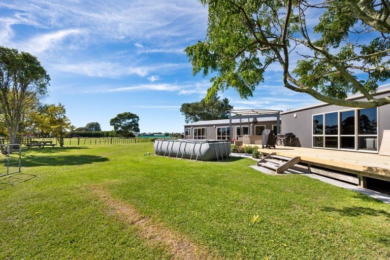 Photo of property in 59 Buchanan Street, Bay View, Napier, 4104