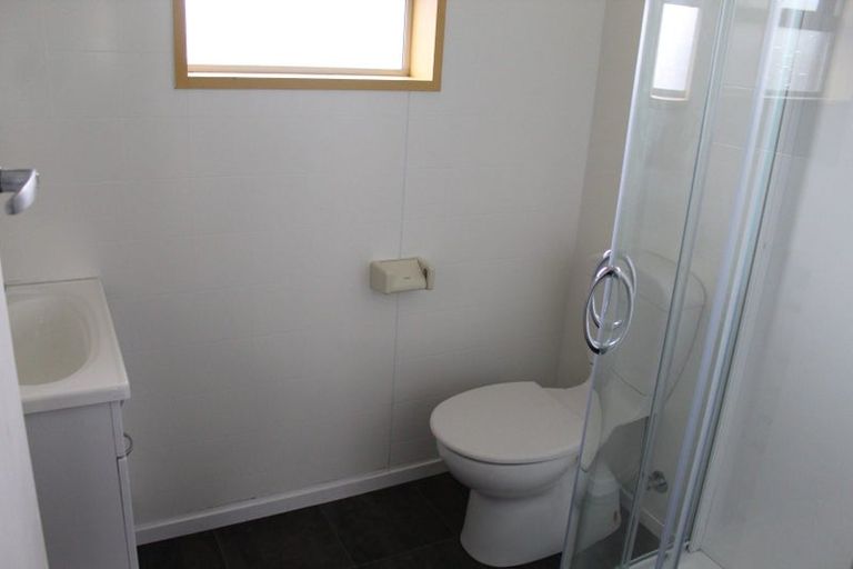 Photo of property in 17 Limbrick Street, Terrace End, Palmerston North, 4410