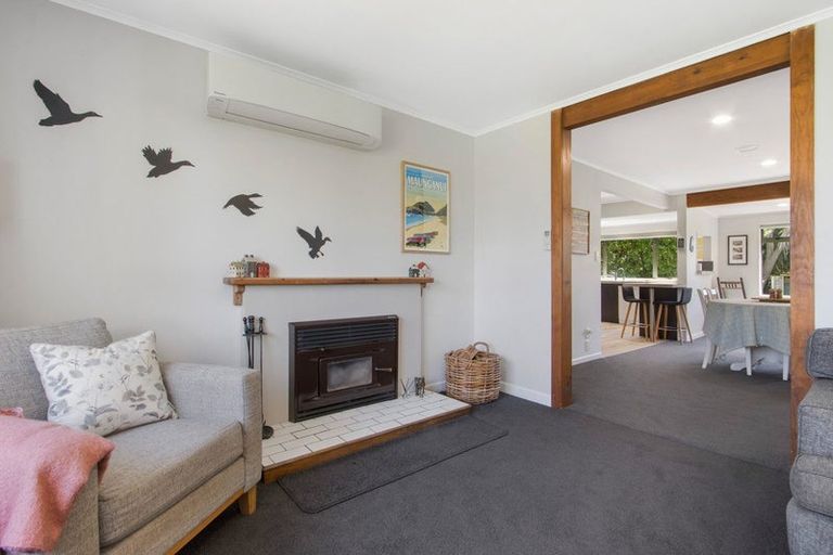 Photo of property in 474 Youngson Road, Whakamarama, Tauranga, 3179