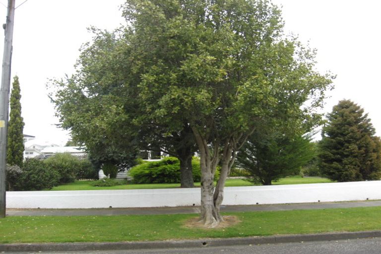 Photo of property in 15 Duke Street, Levin, 5510