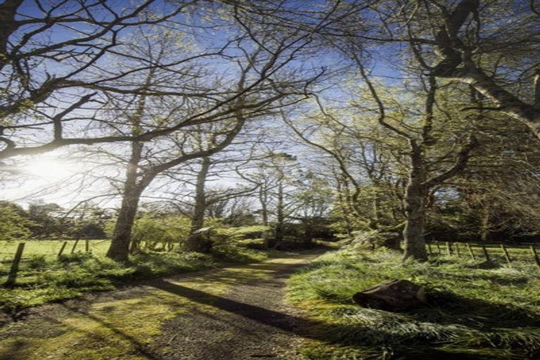 Photo of property in 195 Dudley Road Upper, Inglewood, 4386