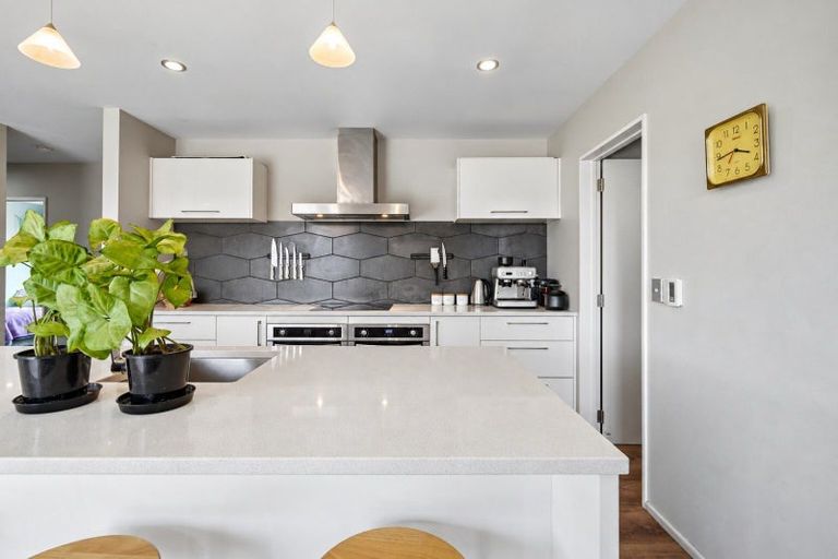 Photo of property in 166 Swamp Road, Loburn, Rangiora, 7472