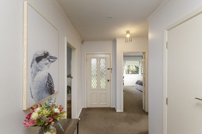 Photo of property in 481 Ruahine Street, Terrace End, Palmerston North, 4410