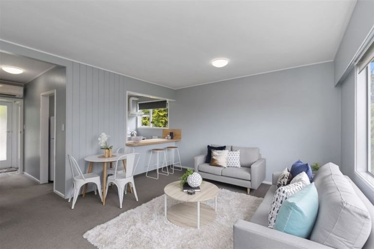 Photo of property in 49 Huntingdon Street, Northland, Wellington, 6012