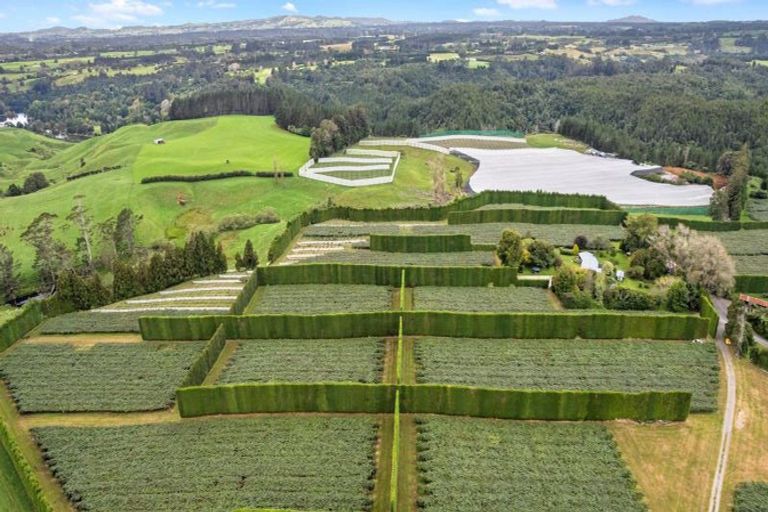 Photo of property in 43 Penmoral Lane, Lower Kaimai, Tauranga, 3171