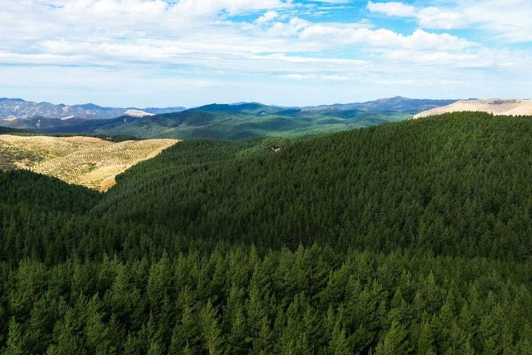 Photo of property in 2/298 Bealey Avenue, Christchurch Central, Christchurch, 8013