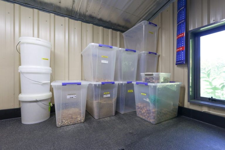 Photo of property in 60 Golden Hills Road, Appleby, Richmond, 7081