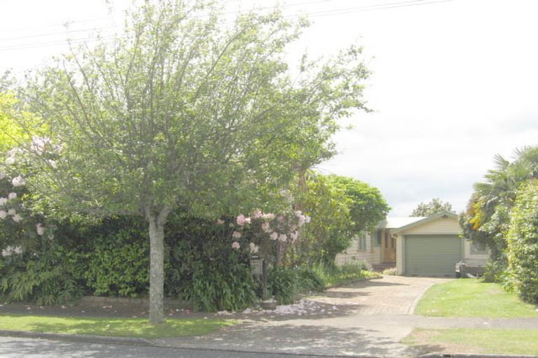 Photo of property in 809 Bank Street, Te Awamutu, 3800