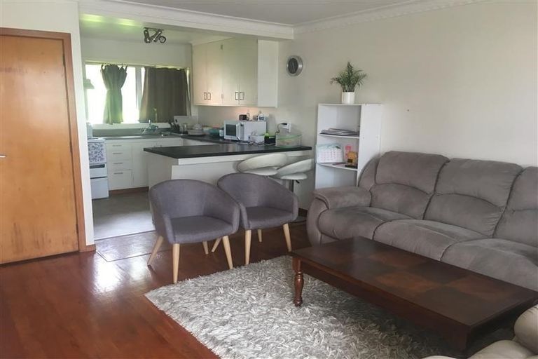 Photo of property in 14 Counsel Terrace, Mount Albert, Auckland, 1025