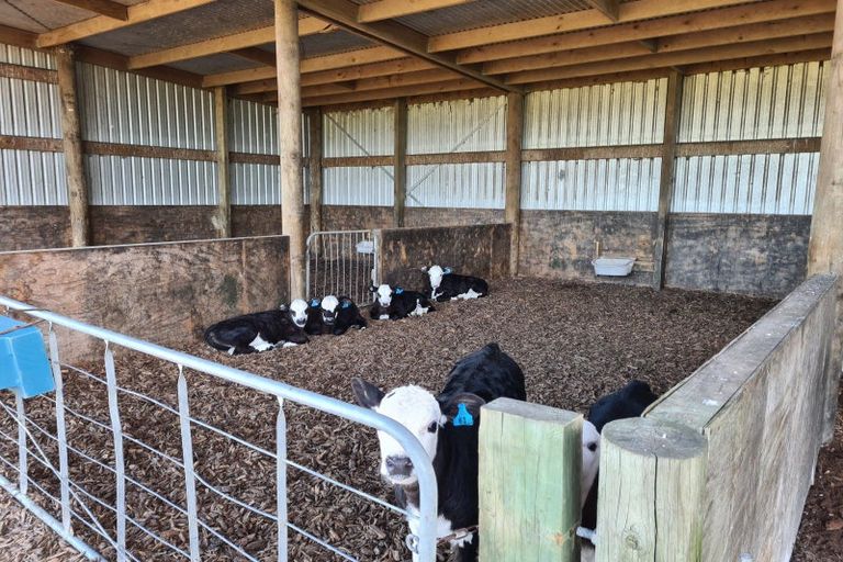 Photo of property in 801 Mangorei Road, Mangorei, New Plymouth, 4371