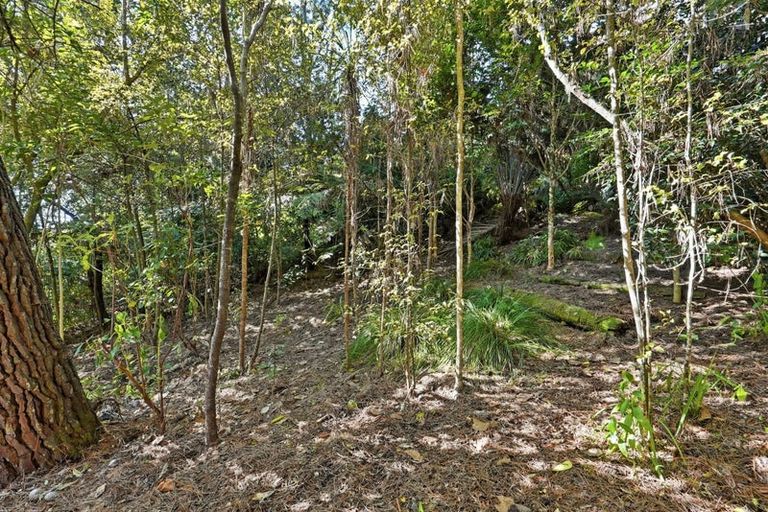 Photo of property in 1/11 Saddleback Rise, Murrays Bay, Auckland, 0630