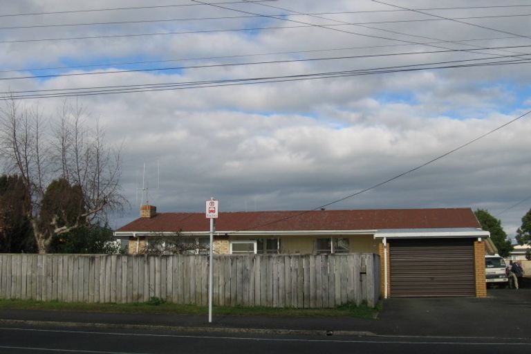 Photo of property in 133 Ellicott Road, Nawton, Hamilton, 3200