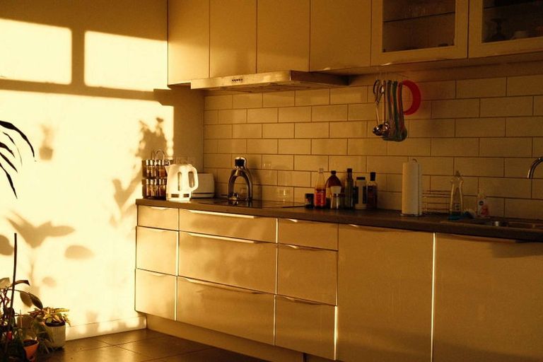 Photo of property in 50b Raukawa Street, Strathmore Park, Wellington, 6022