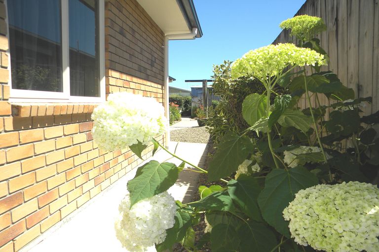 Photo of property in 185 Reynolds Drive, Te Awamutu, 3800