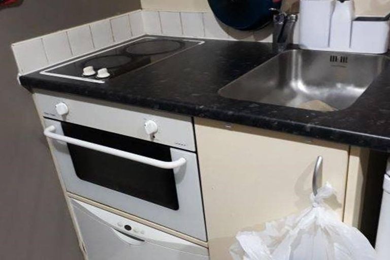 Photo of property in 10d Crown Lynn Place, New Lynn, Auckland, 0600