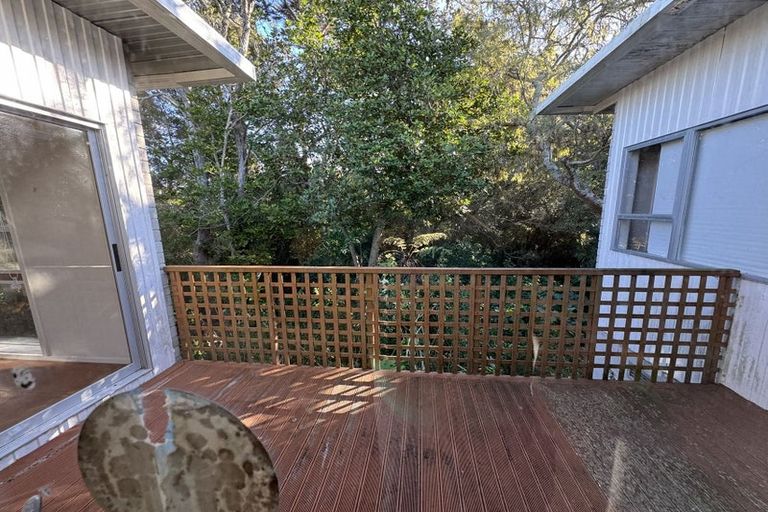 Photo of property in 21 Holdaway Avenue, Northcote, Auckland, 0627