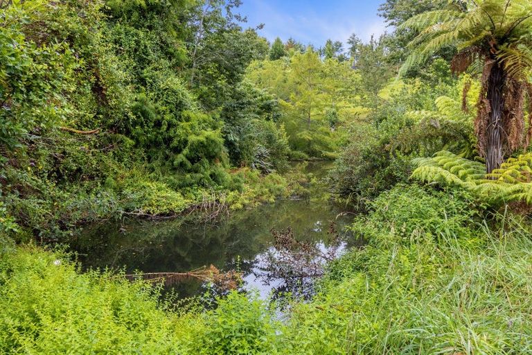 Photo of property in 800 Tuhikaramea Road, Ngahinapouri, Hamilton, 3290