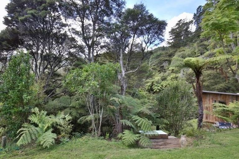 Photo of property in 850 Buffalo Road, Coromandel, 3506