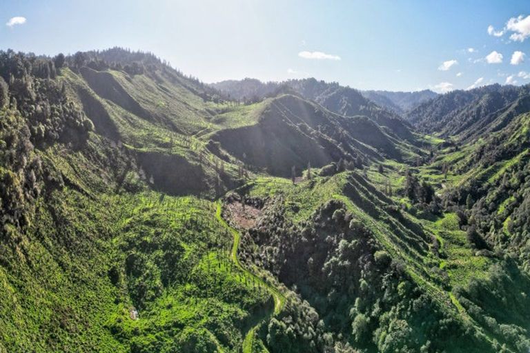 Photo of property in 918 Makakaho Road, Ngamatapouri, 4588