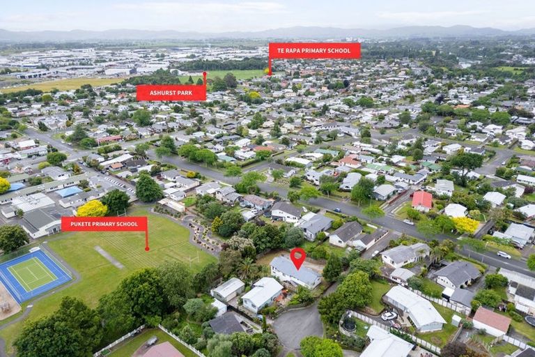 Photo of property in 65 Pohutukawa Drive, Pukete, Hamilton, 3200