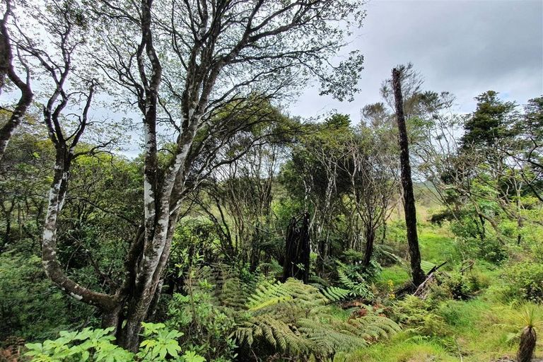 Photo of property in 574 Honeymoon Valley Road, Peria, Kaitaia, 0482
