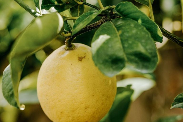 Photo of property in 68 Bert Wall Drive, Omokoroa, 3114