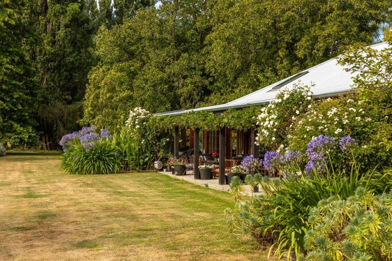 Photo of property in 145 Giffords Road, Rapaura, Blenheim, 7273