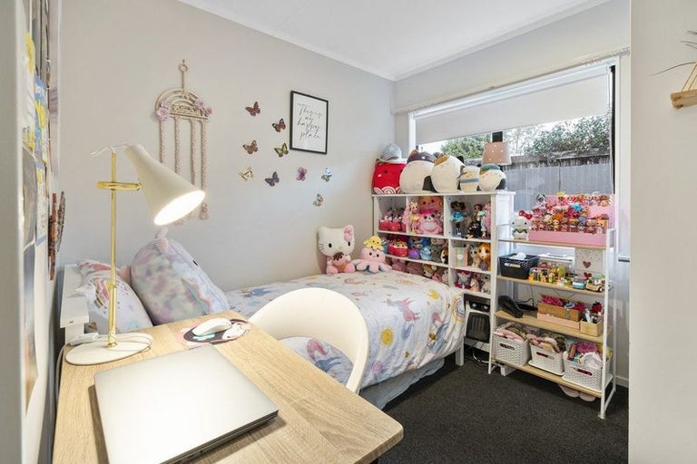 Photo of property in 26a Limbrick Street, Terrace End, Palmerston North, 4410