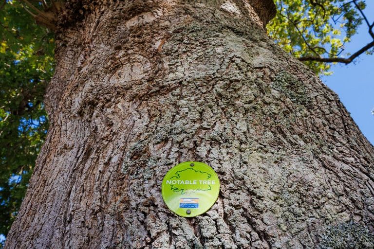 Photo of property in 10 Pastoral Lane, Hokowhitu, Palmerston North, 4410