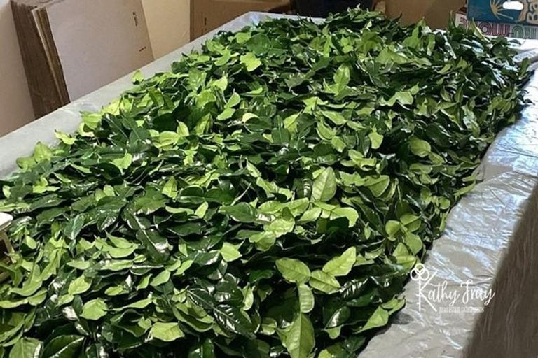 Photo of property in 70 Rototuna Road, Pouto, Te Kopuru, 0391