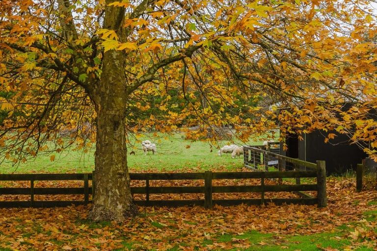 Photo of property in 81259 State Highway 2, Mangatainoka, Pahiatua, 4982