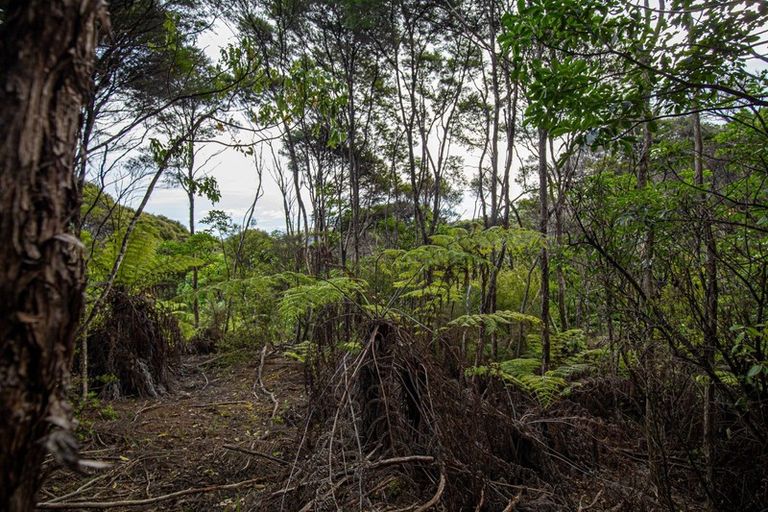 Photo of property in 980 Buffalo Road, Coromandel, 3506