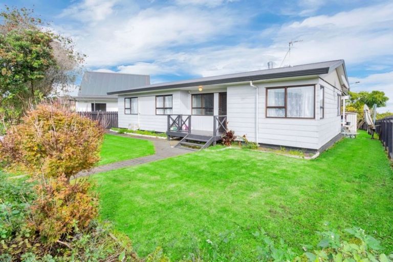 Photo of property in 163 Finlayson Avenue, Clendon Park, Auckland, 2103