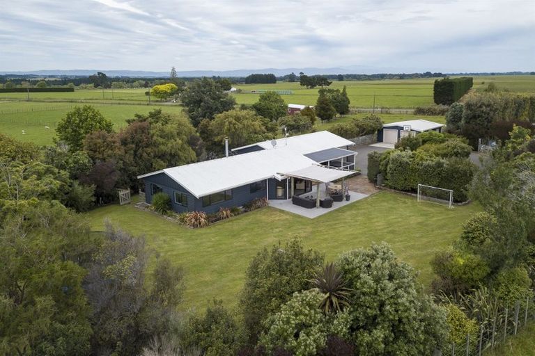Photo of property in 81 Almadale Road, Cheltenham, Feilding, 4777