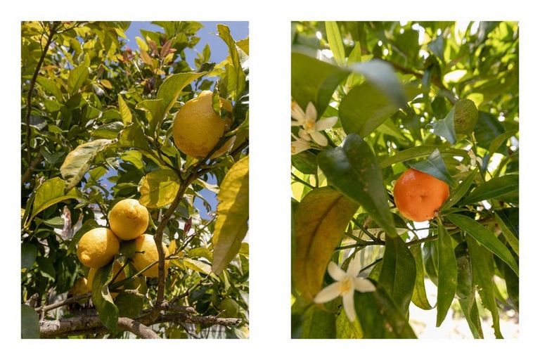 Photo of property in 6 Poike Road, Hairini, Tauranga, 3112