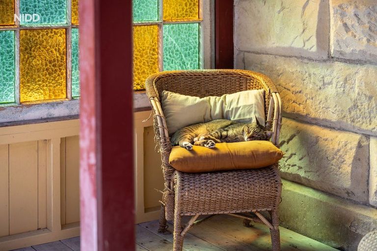 Photo of property in 56 Burgess Road, Herbert, Oamaru, 9495