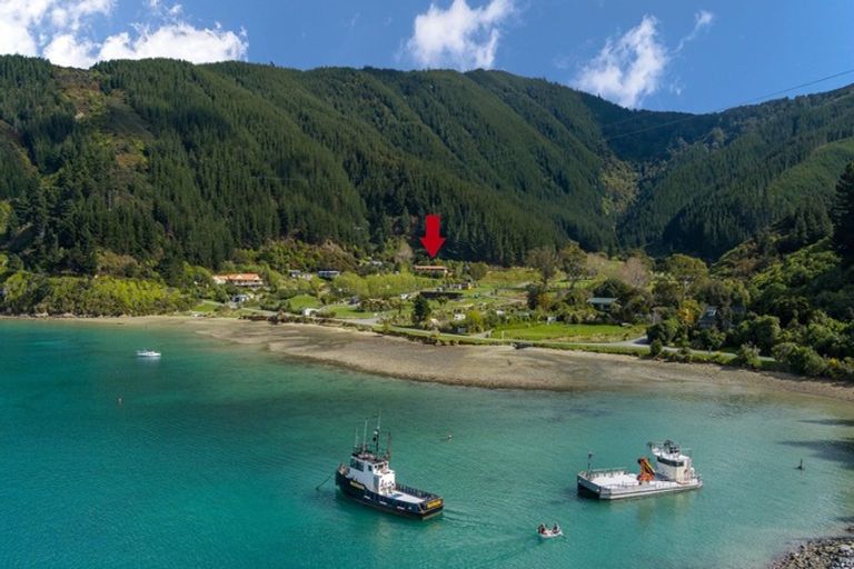 Photo of property in 1466 Port Underwood Road, Port Underwood, Picton, 7281